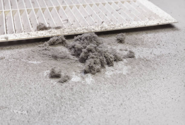 Best Affordable Duct Cleaning Services  in Dale, IN