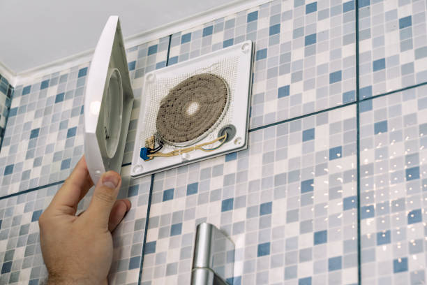 Best Air Duct Mold Removal  in Dale, IN