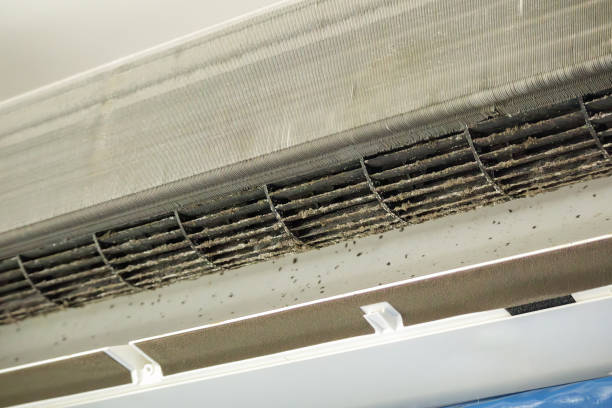 Best Professional Duct Cleaning Services  in Dale, IN