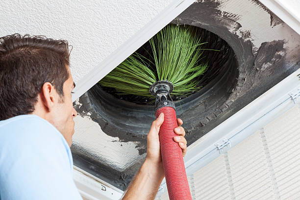 Air Duct Mold Removal in Dale, IN